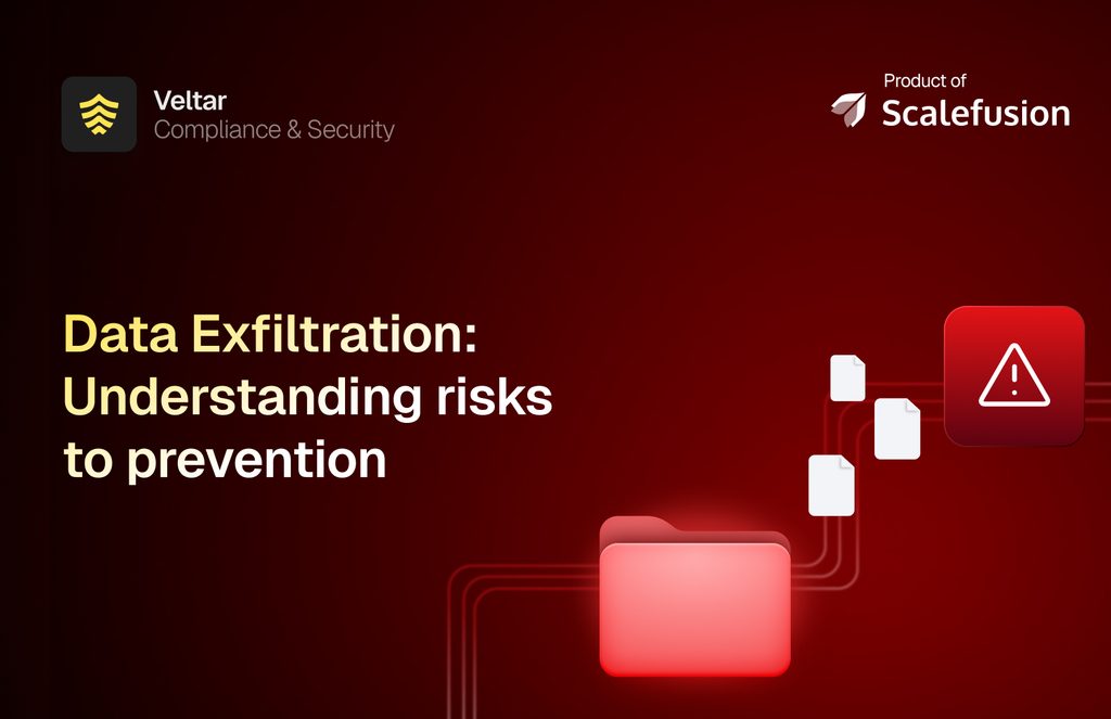 Data Exfiltration