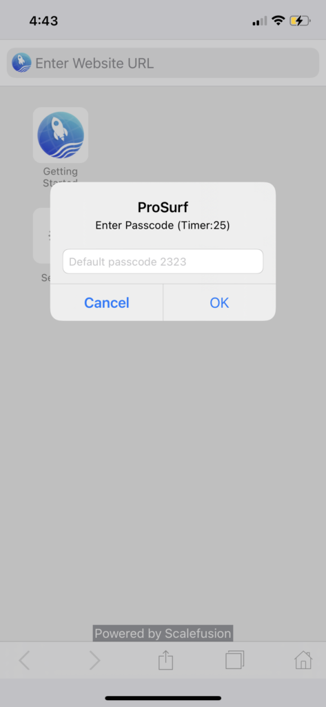 Passcode für den Zugriff auf die ProSurf-Einstellungen