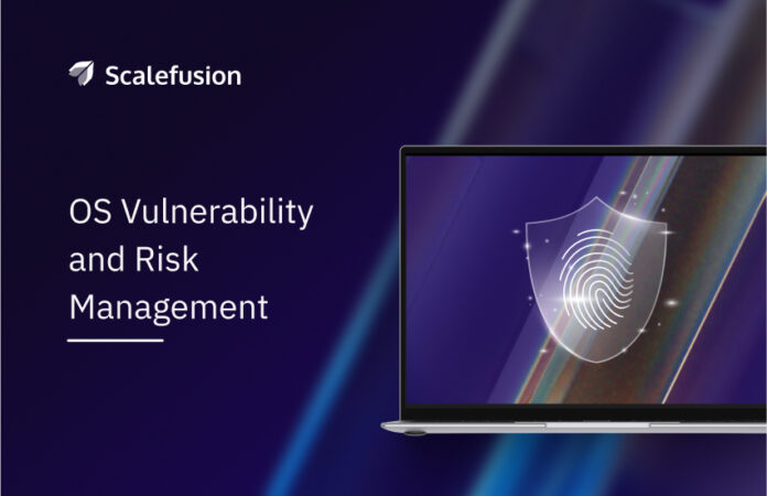 Operating System Visualization And Risk OS Vulnerability Management: Types, Risks, & Solutions