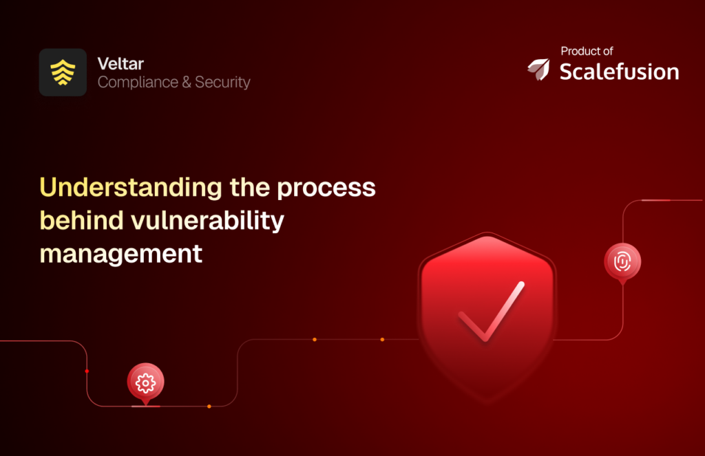vulnerability management process