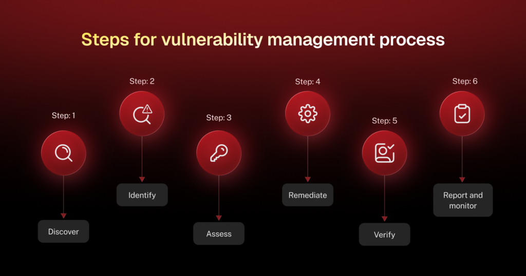 vulnerability management process