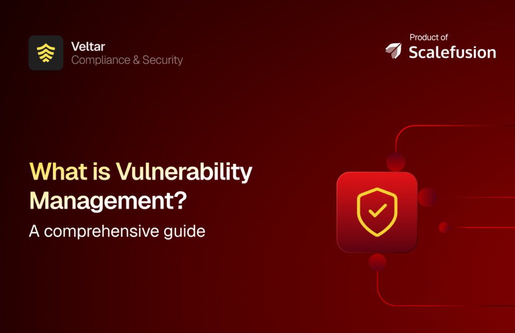 what is vulnerability management