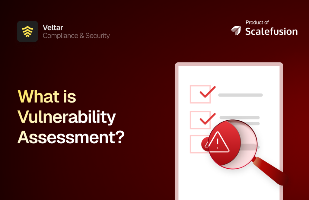 What is vulnerability assessment