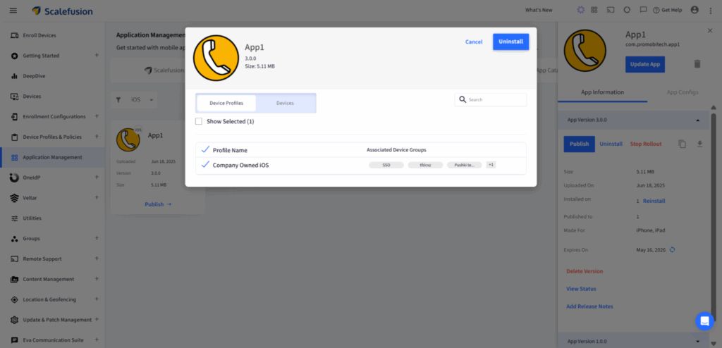 downgrade apps on iOS 
