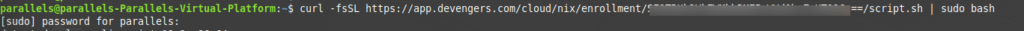 Terminal window displaying a curl command to download a script, followed by a sudo password prompt for user 'parallels'