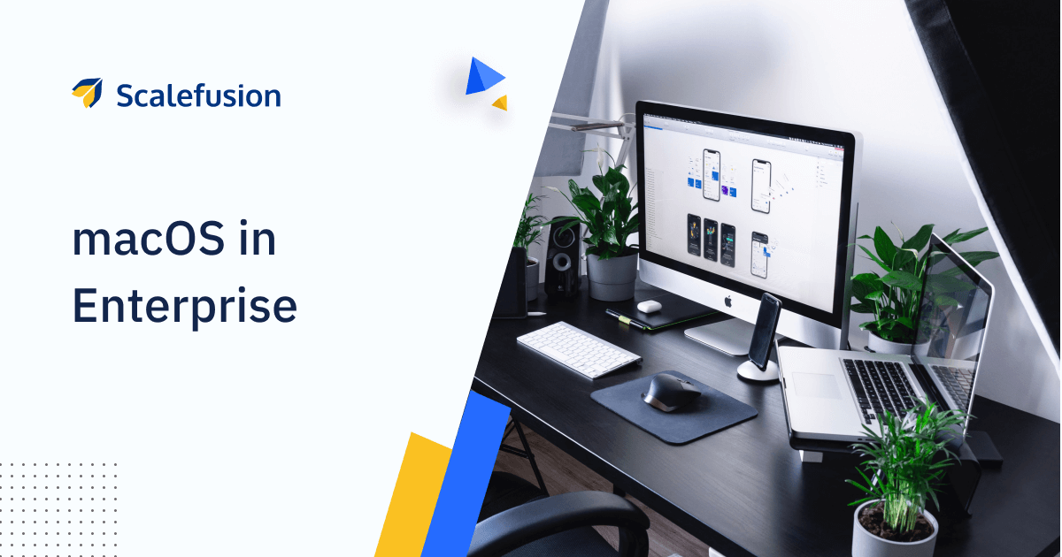 server solutions for mac os environment large business